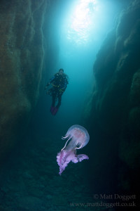 Gully, Sula Sgeir, Scotland