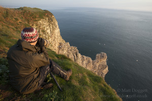 Photographing gannets at Bempton Cliffs